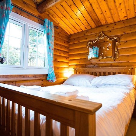 Woodpecker 3 Bedroom Trawsfyndd Holiday Village - Hosted By Seren Property Trawsfynydd Bagian luar foto